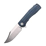 Petrified fish PFP03 Victor,3.58' K110 Satin Blade,140g Micarta Handel Flipper Liner lock Folding knife (Blue Satin)