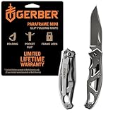 Gerber Gear Paraframe Mini Pocket Knife, 2.2' Fine Edge Small EDC Folding Knife with Safety Lock for Everyday Carry, Gifts for Men, Stainless Steel