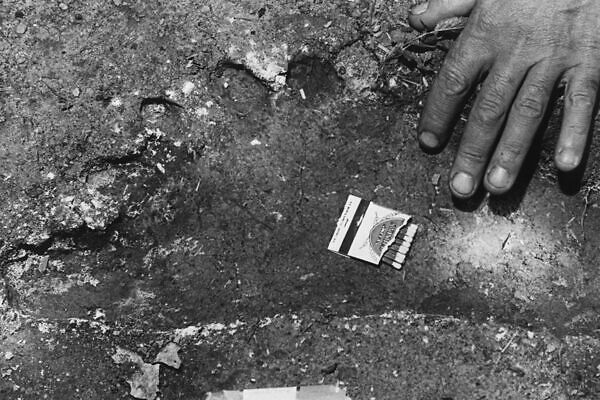 Squatches over a fire