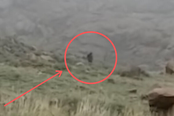 Theodore Roosevelt heard about the Bigfoot