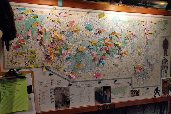 finding the true bigfoot