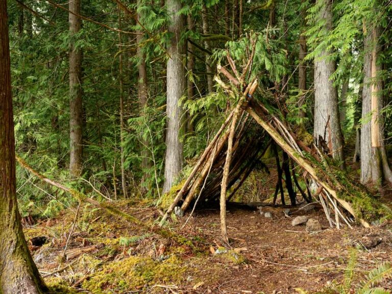 What Is The Difference Between Bushcraft And Camping?