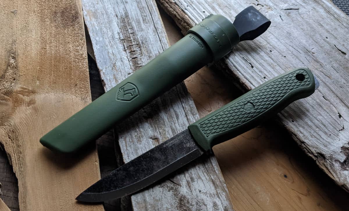 Condor Terrasaur Picture