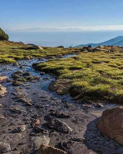 How To Find Fishing Bait In The Backcountry