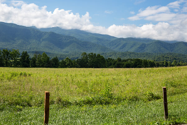 Great Smoky Mountains Picture