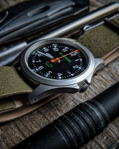 H Goose South Carolina