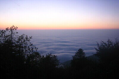 View from Deep Gap on the Black Mountain Crest Trail