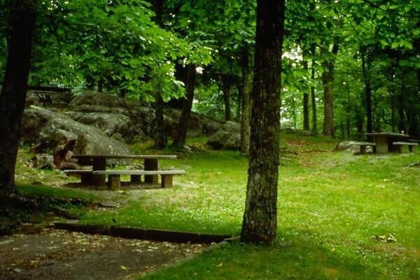 rolling mountain meadowlands and forests