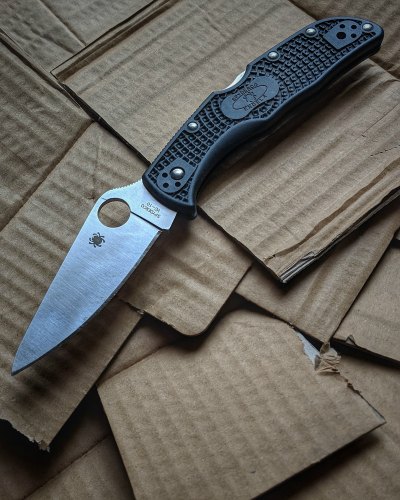The Spyderco Endela