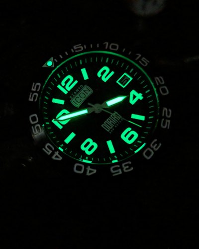 Read The Review Of The Shane Dorian Watch