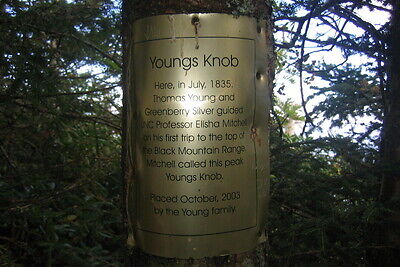 Youngs Knob on the Black Mountain Crest trail