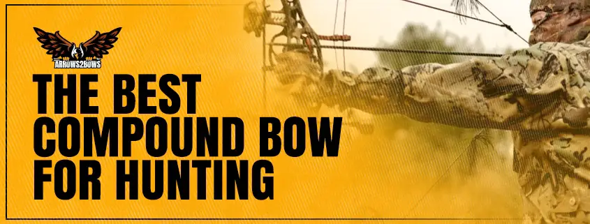 Best compound bow hunting