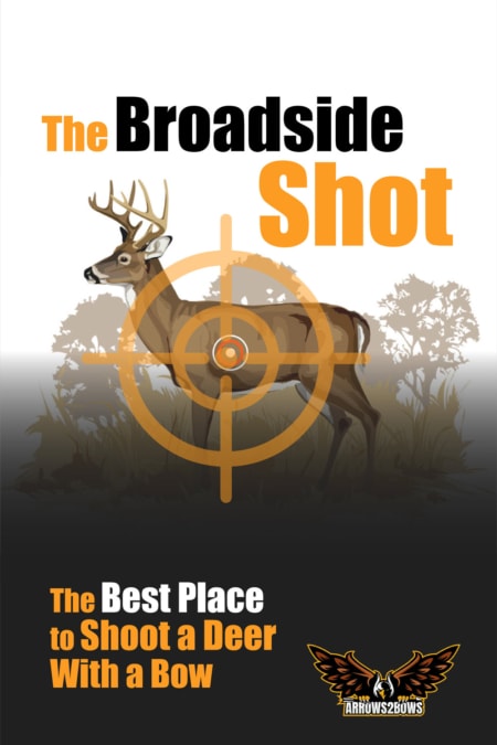 The Best Place to Shoot a Deer With a Bow - Arrows 2 Bows