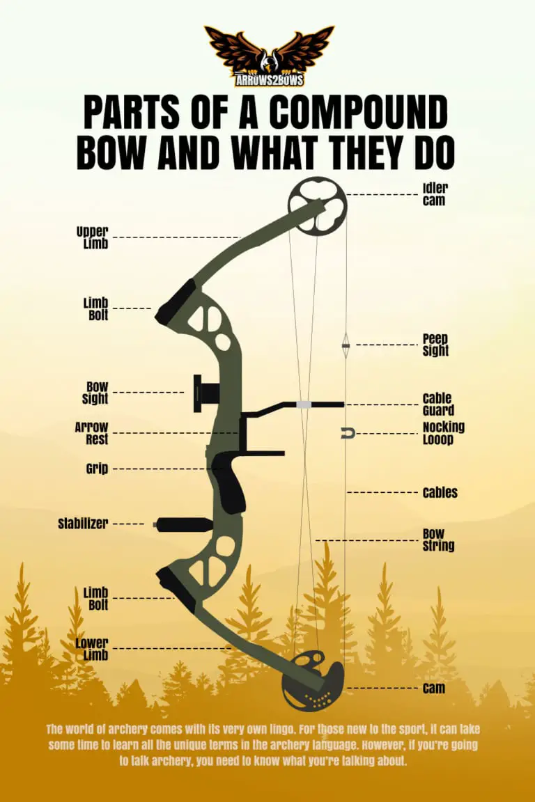 How To Properly Draw A Compound Bow