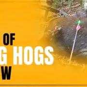The Basic of Hunting Hogs with a Bow_05122020