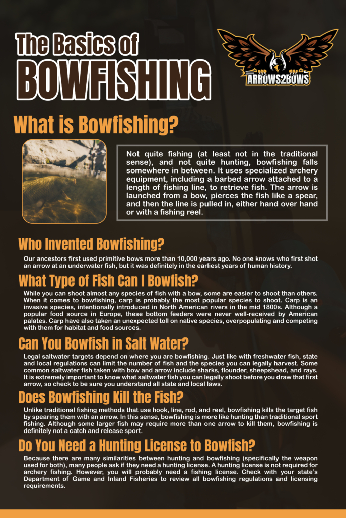 The Basics of Bowfishing