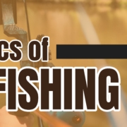 The Basics of Bowfishing